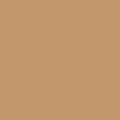GS CAMEL
