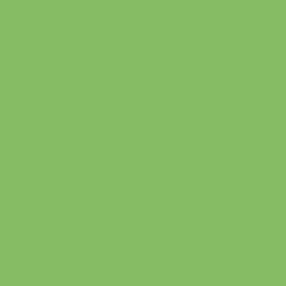 JRYF VERDE