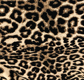 78 PRINT CAMEL
