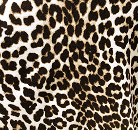 91 print camel