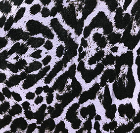 80 violeta print