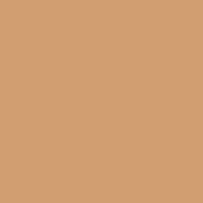JRY CAMEL