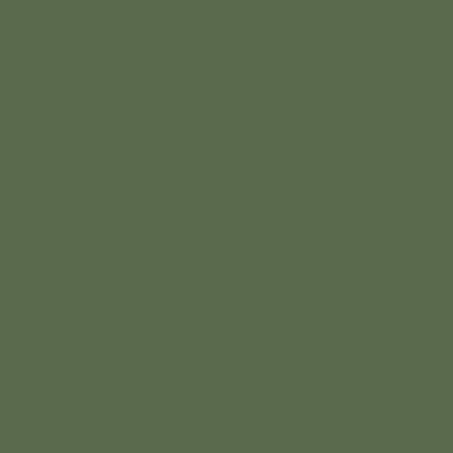 VIS MILITAR